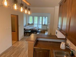 Kuchyň nebo kuchyňský kout v ubytování Apartments Monika