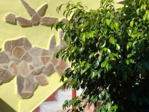Zahrada ubytování Guest House Paskal