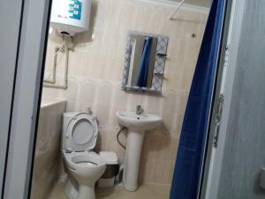 a small bathroom with a toilet and a sink at Гостевой Дом in Qyzylorda