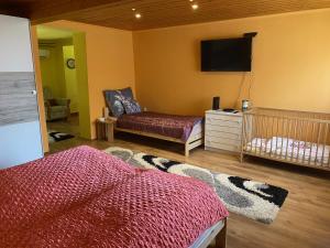 a living room with a crib and a tv at Erika Vendégház in Tiszasas