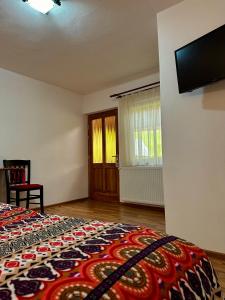 Schlafzimmer mit einem Bett und einem Flachbild-TV in der Unterkunft Casa Aurelia in Chişcău