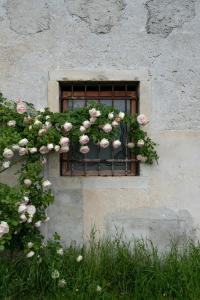Zahrada ubytování Fiori&vigne di Cecilia Marcon