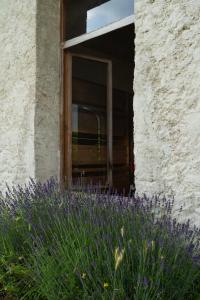 Zahrada ubytování Fiori&vigne di Cecilia Marcon