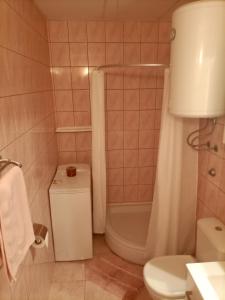 een badkamer met een toilet, een douche en een wastafel bij Studio Apartment Lile in Trstenik