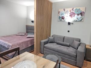 a bedroom with a bed and a couch and a table at Apartman "PUZZLE" Bela Reka, Brzeće in Brzeće