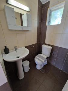 a bathroom with a sink and a toilet and a mirror at On the wave studios Spitakia sto kyma in Nikiti
