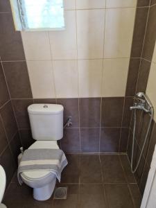 a bathroom with a toilet and a shower at On the wave studios Spitakia sto kyma in Nikiti