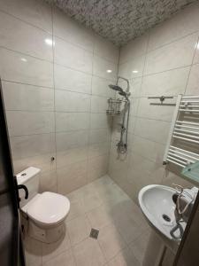 A bathroom at Old district