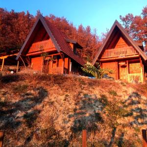 una gran casa de madera en la cima de una colina en Seoski Turizam Feniks - Vajat Ostrog, en Kosjeric