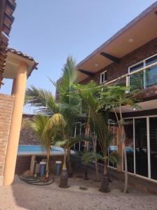 a group of palm trees in front of a building at La casita Escondida Acapulco in Acapulco