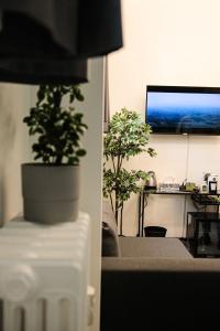 a living room with two potted plants and a tv at BeTurin in Turin