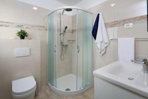 a bathroom with a shower and a toilet and a sink at Villa Bella Vista in Koromačno +20 photos