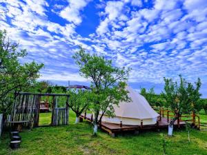 Glamping Livada cu lavanda