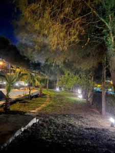 a park at night with trees and lights at Özel Havuzlu Bahçeli Müstakil Villa in Sile