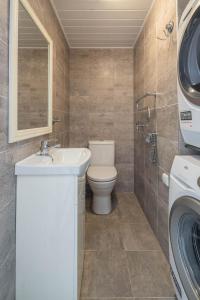 a bathroom with a toilet and a sink and a washing machine at Forest Cottage in Palanga +13 photos