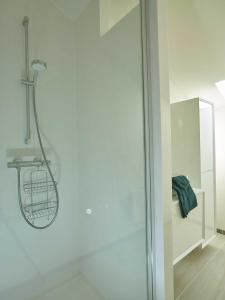a shower in a bathroom with a glass door at lit-loo in Kortessem