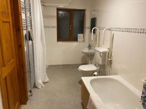 a bathroom with a tub and a toilet and a sink at Pentrego Isaf in Meifod