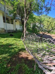 Fotografie z fotogalerie ubytování სახლი მდინარის პირას v destinaci Zeda Agara