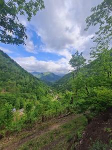 Fotografie z fotogalerie ubytování სახლი მდინარის პირას v destinaci Zeda Agara