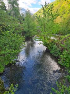 Fotografie z fotogalerie ubytování სახლი მდინარის პირას v destinaci Zeda Agara + 27 fotografií