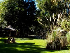 a park with a table and an umbrella in the grass at Studios La Bella Vida en Escobar in Belén de Escobar