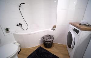Tekla apartman في غيولا: حمام مع غسالة ومرحاض
