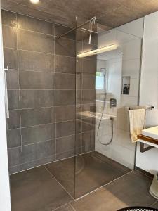 y baño con ducha y puerta de cristal. en Moderne Ferienwohnung Rhenum mit Wallbox, en Waldshut-Tiengen