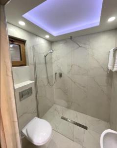 a bathroom with a shower and a toilet at Domki Przewłoka in Przewłoka +9 photos
