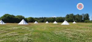 a group of white tents in a field at Dorset Glamping Fields in Corfe Mullen