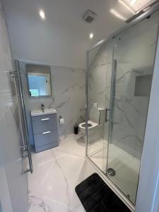 a bathroom with a shower and a sink and a toilet at Rooms At Mcternans in Kilcullen