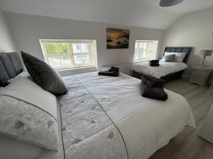 a bedroom with two beds and two windows at Rooms At Mcternans in Kilcullen