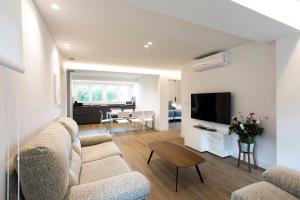 salon z kanapą i telewizorem w obiekcie Villa Carmen by Basquelidays w mieście Hondarribia