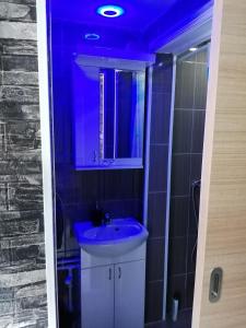 Koupelna v ubytování APARTMAN STARCEVIC
