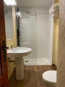 een badkamer met een wastafel, een douche en een toilet bij Hotel Vallibierna in Benasque