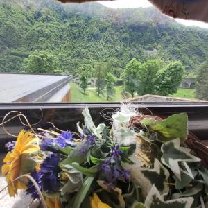 una maceta en el alféizar de una ventana con vistas en Chalet Monte Nebius, en Vinadio