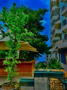 a tree sitting next to a table with an umbrella at Premium Apartment Shengjin in Shëngjin