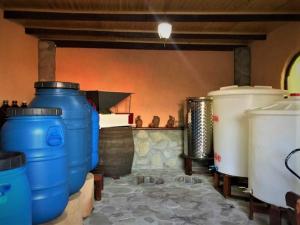 Gambar di galeri bagi GuestHouse LILIA &Wine Celler di Telavi