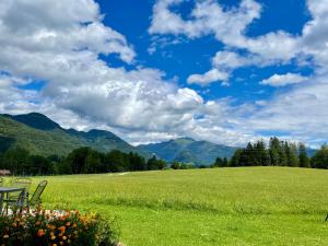 a green field with a table and chairs and mountains at Gut im Schlag in St. Wolfgang