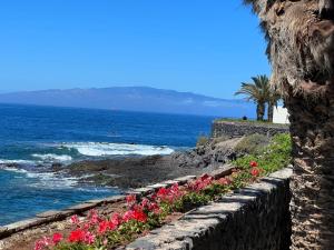 a retaining wall with flowers on the beach at Alquiler de Habitación privada con baño compartido cerca al Mar! in Alcalá
