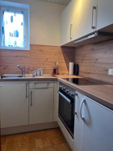 Η κουζίνα ή μικρή κουζίνα στο Kleine Wohnung mit schönem Blick in die Schweiz - Grenznah