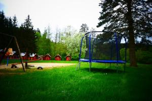 a blue swing set in a field of green grass at Kemp na Staré papírně in Dobronice
