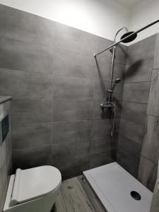 La salle de bains est pourvue d'une douche et de toilettes. dans l'établissement Opaa Motel, à Poniatowa