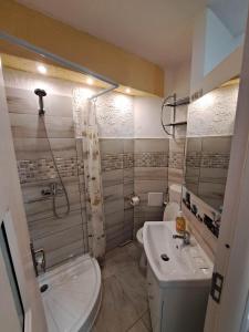 a bathroom with a toilet and a sink and a shower at Dovali apartment in Râmnicu Vâlcea