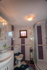 a bathroom with a toilet and a sink and a shower at Pensiunea Agroturistica Stefan Viorica in Moldoviţa