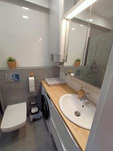 uma casa de banho com um lavatório e uma máquina de lavar roupa em Apartament Gliwice Mewy em Gliwice