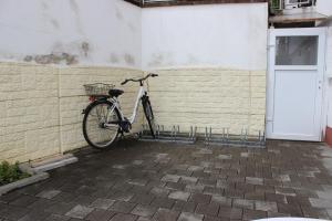 Jízda na kole v ubytování Bodensee Pension nebo okolí