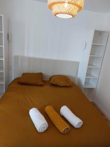 łóżko z 2 poduszkami i łóżko z w obiekcie La Villa Bompard 48M2 Cœur de ville avec terrasse w mieście Rodez