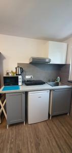 una cucina con piano cottura e lavandino di LAZY TURTLE, parking, barbecue, bicycle a Lubiana