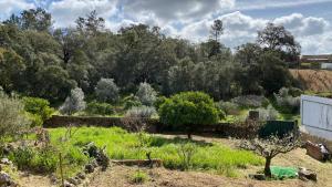 un jardin avec des arbres en arrière-plan dans l'établissement Casalinho in Portugal Country House, à Tomar