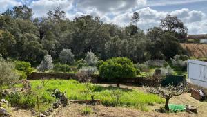 a garden with trees in the background at Casalinho in Portugal - Country House in Tomar